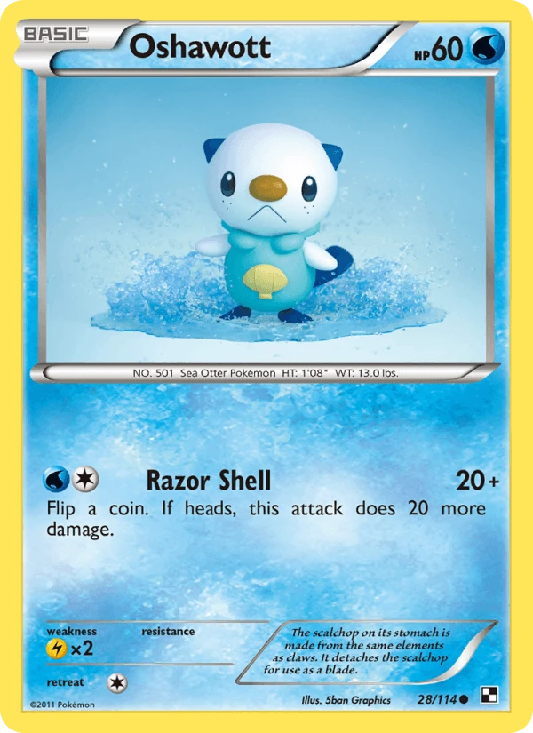 Oshawott #28