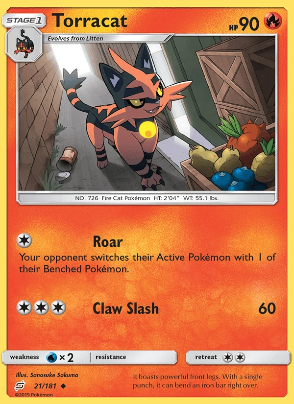 Torracat #21
