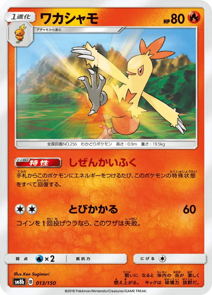 Combusken #13