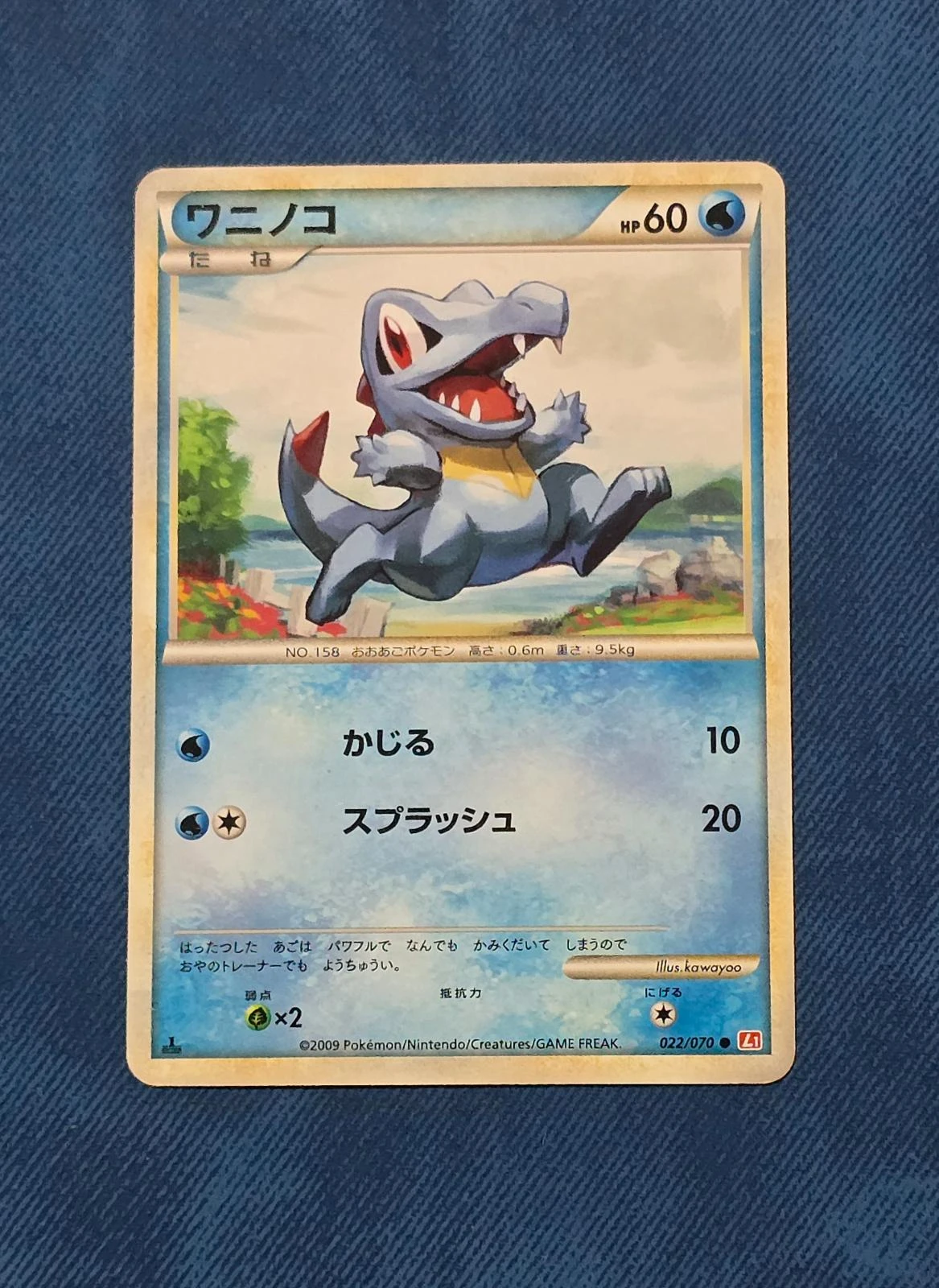 Totodile 1st Edition #22