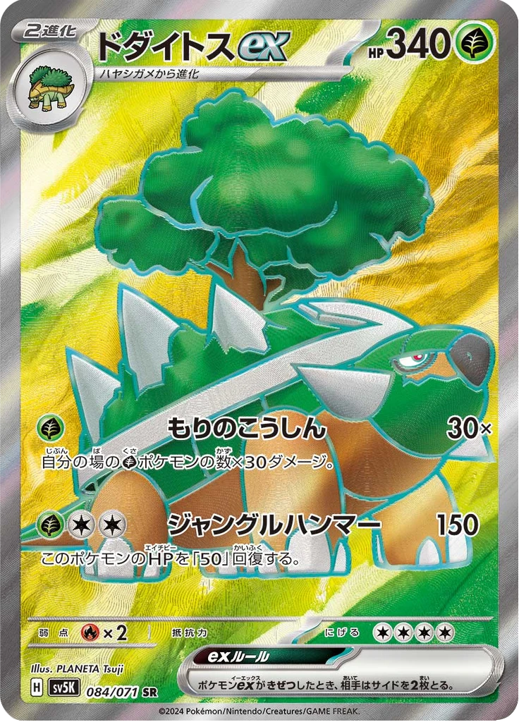 Torterra Ex #84