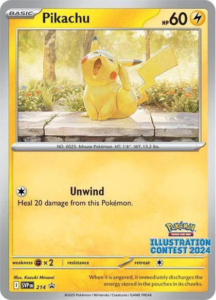 Pikachu #214