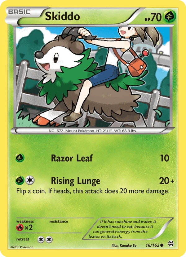 Skiddo #16