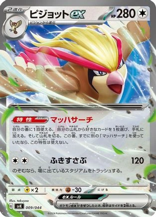 Pidgeot ex #9