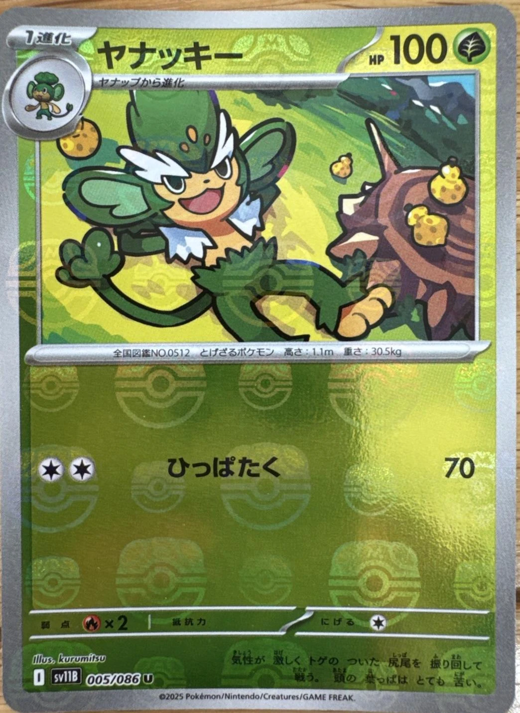 Simisage Master Ball #5