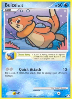 Buizel Reverse Holo