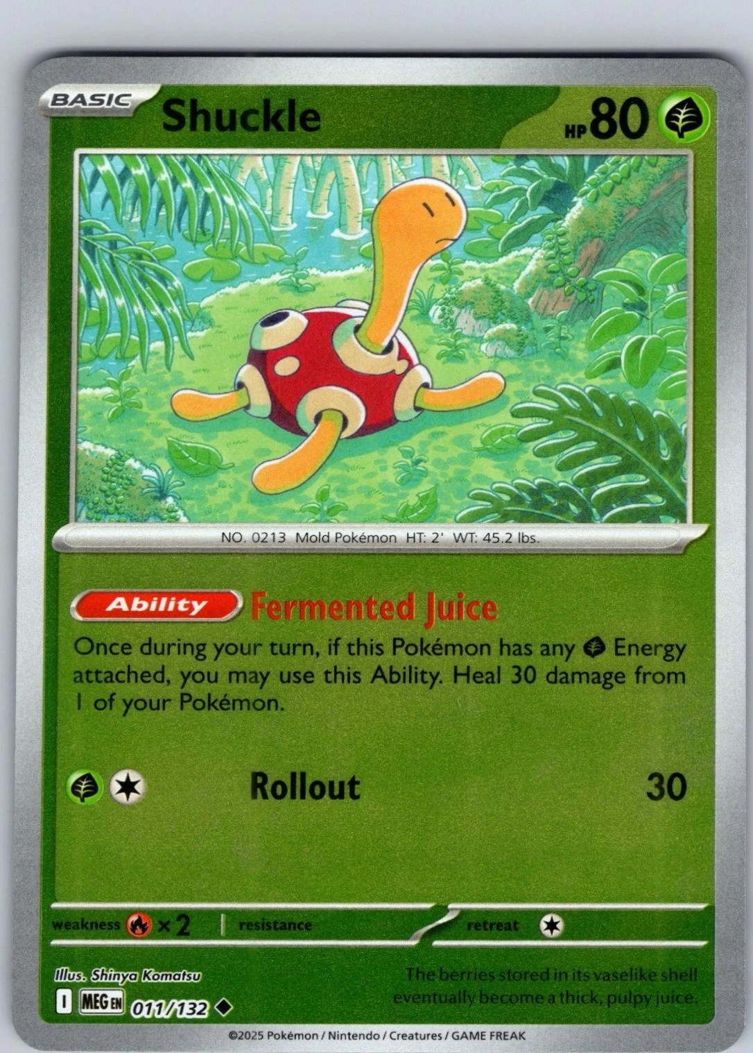 Shuckle Reverse Holo #11