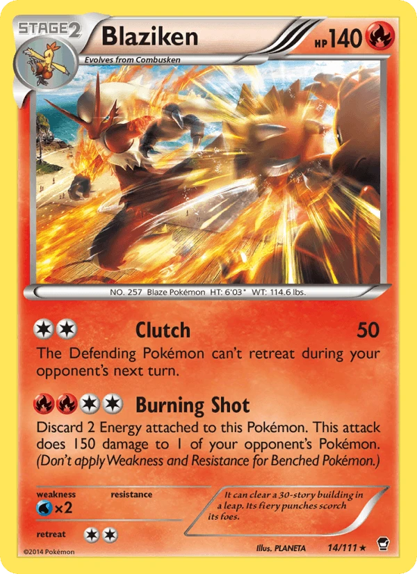 Blaziken #14