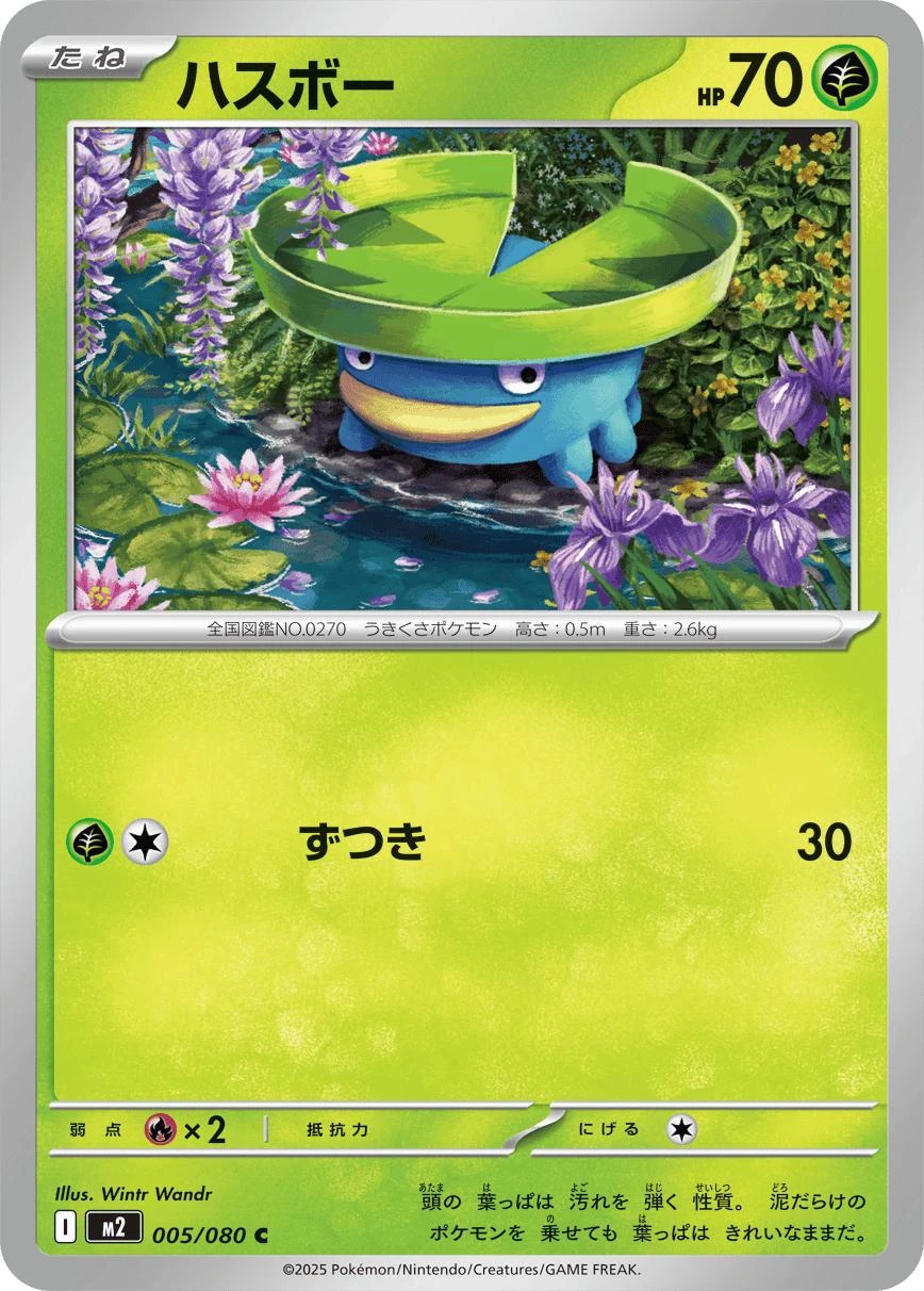 Lotad #5
