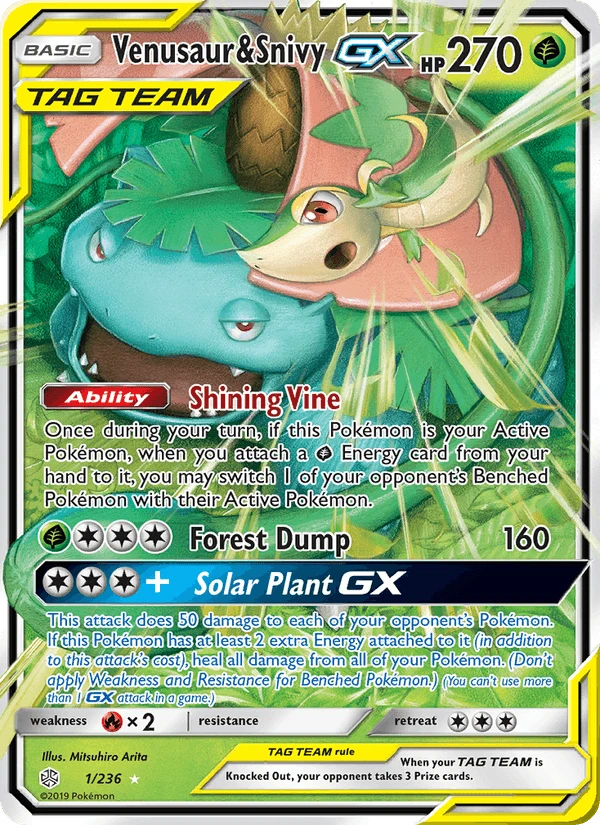 Venusaur & Snivy Gx #1