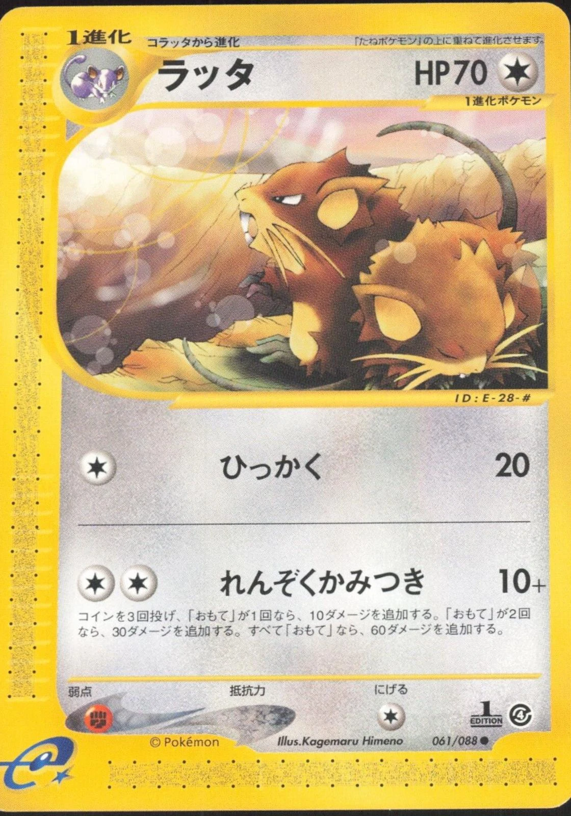Raticate #61