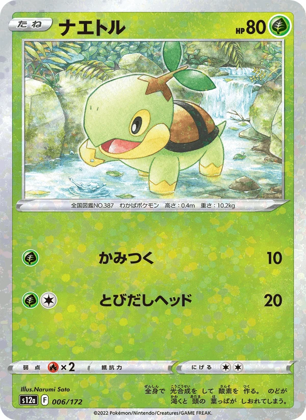 Turtwig #6