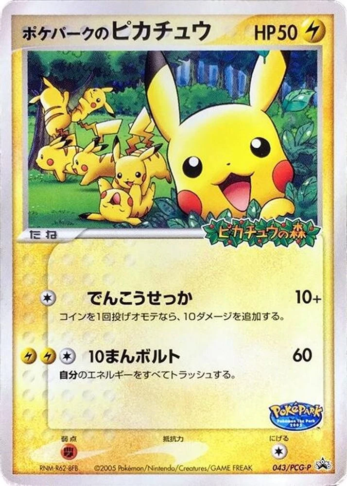 PokePark's Pikachu #43/PCG-P