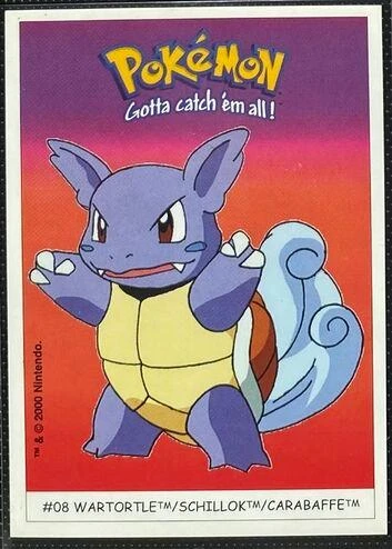 Wartortle #8