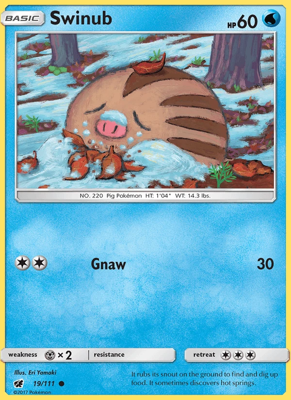 Swinub #19