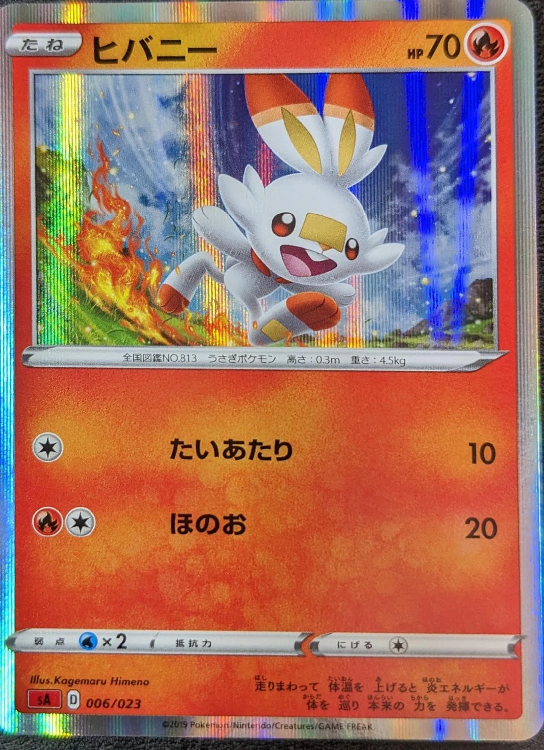 Scorbunny #6
