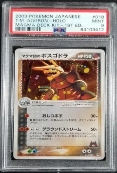 Aggron-Holo 1st Edition