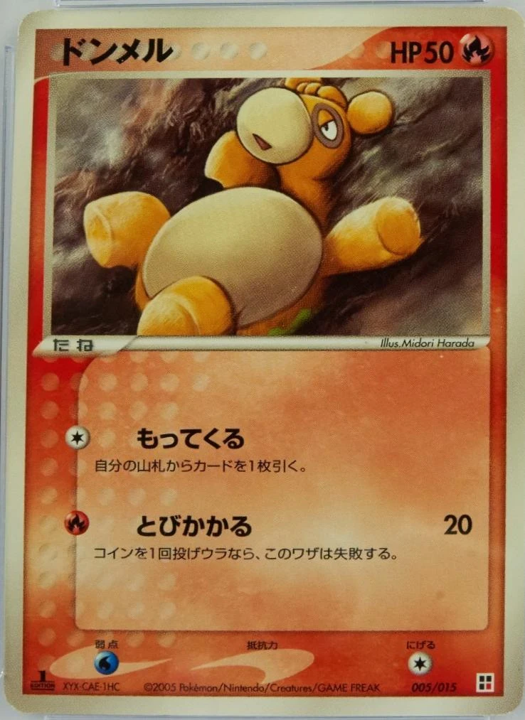 Numel #5