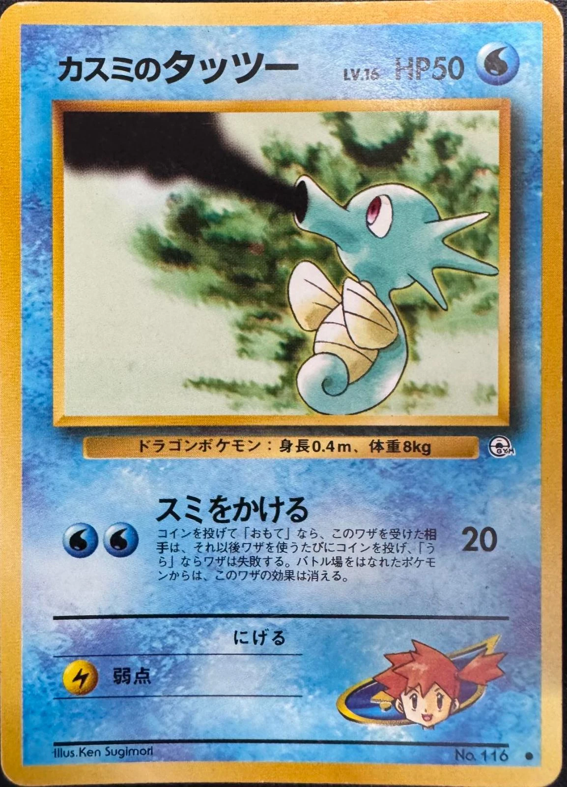 Misty's Horsea Lv 16 #116